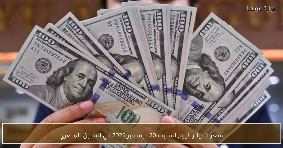 سعر الدولار اليوم السبت 20 ديسمبر 2025 في السوق المصري