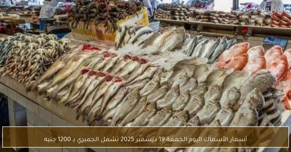 أسعار الأسماك اليوم الجمعة 19 ديسمبر 2025 تشمل الجمبري بـ 1200 جنيه