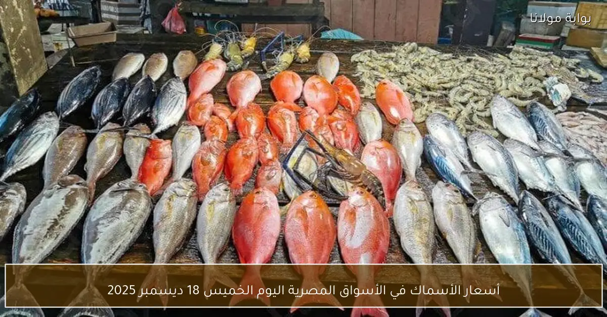 أسعار الأسماك في الأسواق المصرية اليوم الخميس 18 ديسمبر 2025