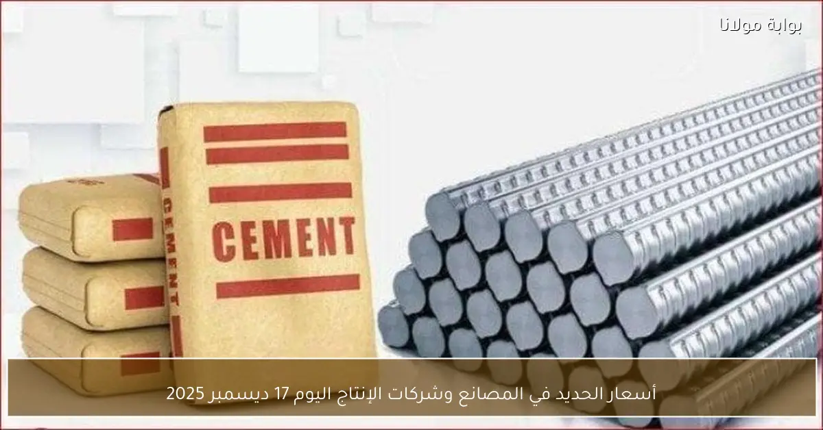 أسعار الحديد في المصانع وشركات الإنتاج اليوم 17 ديسمبر 2025