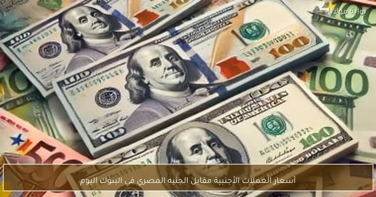 أسعار العملات الأجنبية مقابل الجنيه المصري في البنوك اليوم