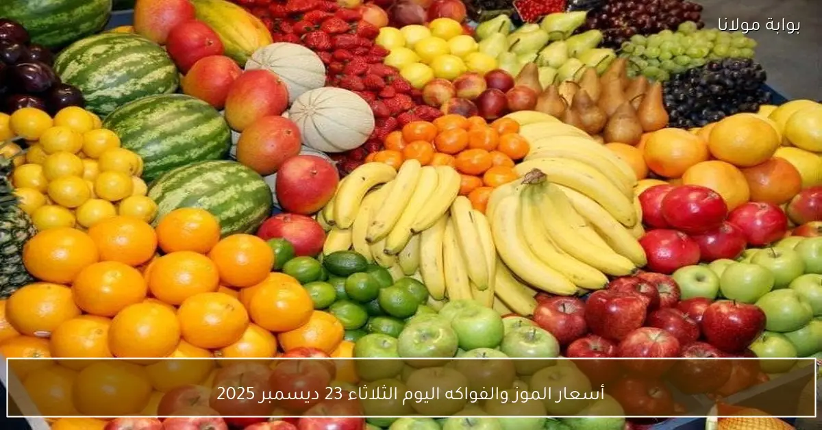 أسعار الموز والفواكه اليوم الثلاثاء 23 ديسمبر 2025