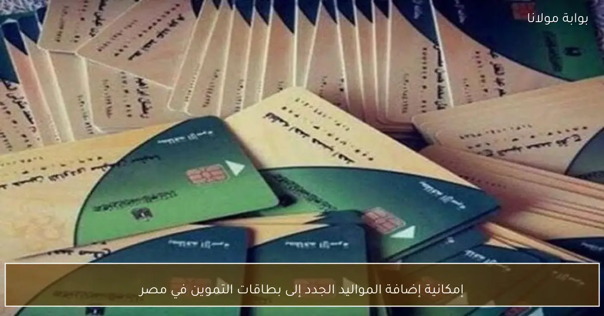 إمكانية إضافة المواليد الجدد إلى بطاقات التموين في مصر