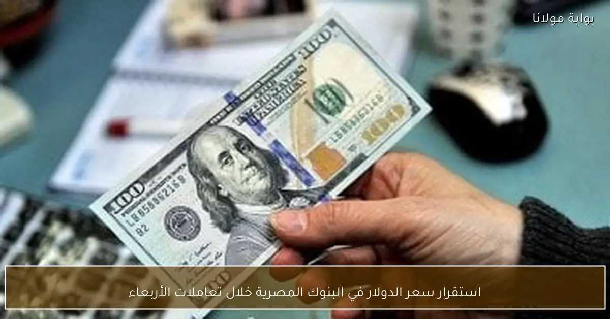 استقرار سعر الدولار في البنوك المصرية خلال تعاملات الأربعاء