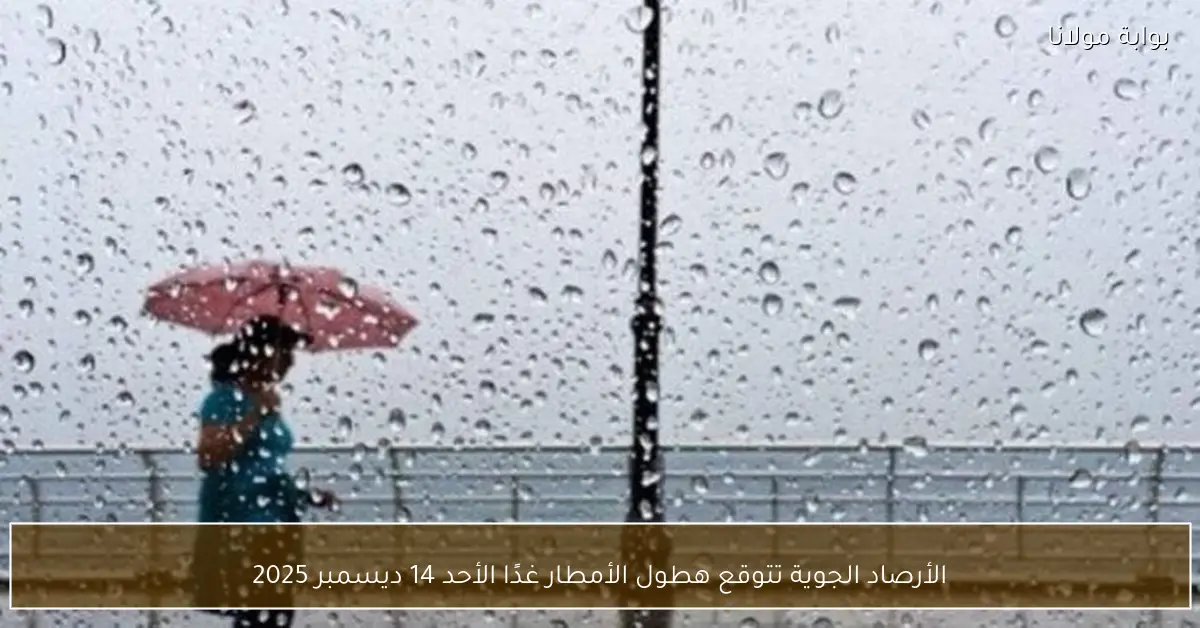الأرصاد الجوية تتوقع هطول الأمطار غدًا الأحد 14 ديسمبر 2025