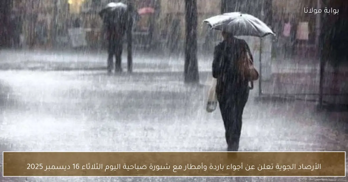 الأرصاد الجوية تعلن عن أجواء باردة وأمطار مع شبورة صباحية اليوم الثلاثاء 16 ديسمبر 2025