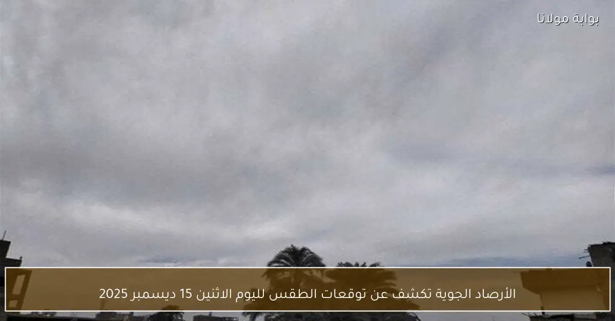 الأرصاد الجوية تكشف عن توقعات الطقس لليوم الاثنين 15 ديسمبر 2025