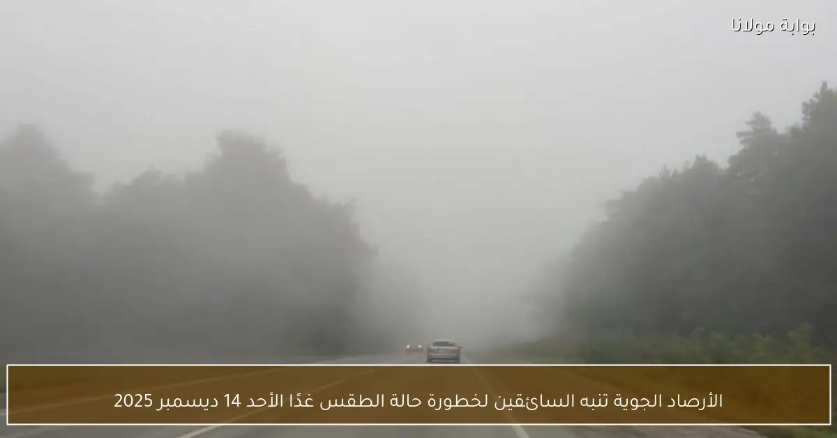 الأرصاد الجوية تنبه السائقين لخطورة حالة الطقس غدًا الأحد 14 ديسمبر 2025