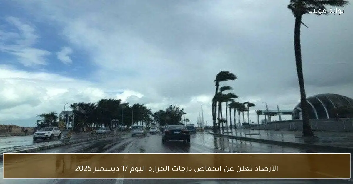 الأرصاد تعلن عن انخفاض درجات الحرارة اليوم 17 ديسمبر 2025