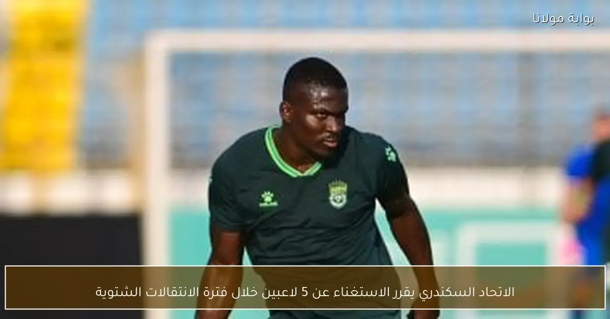 الاتحاد السكندري يقرر الاستغناء عن 5 لاعبين خلال فترة الانتقالات الشتوية