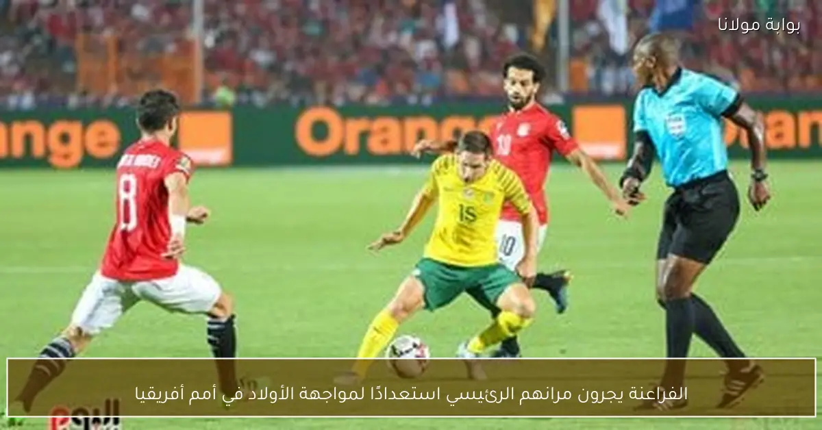 الفراعنة يجرون مرانهم الرئيسي استعدادًا لمواجهة الأولاد في أمم أفريقيا