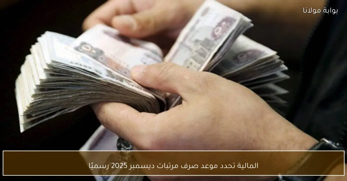 المالية تحدد موعد صرف مرتبات ديسمبر 2025 رسميًا