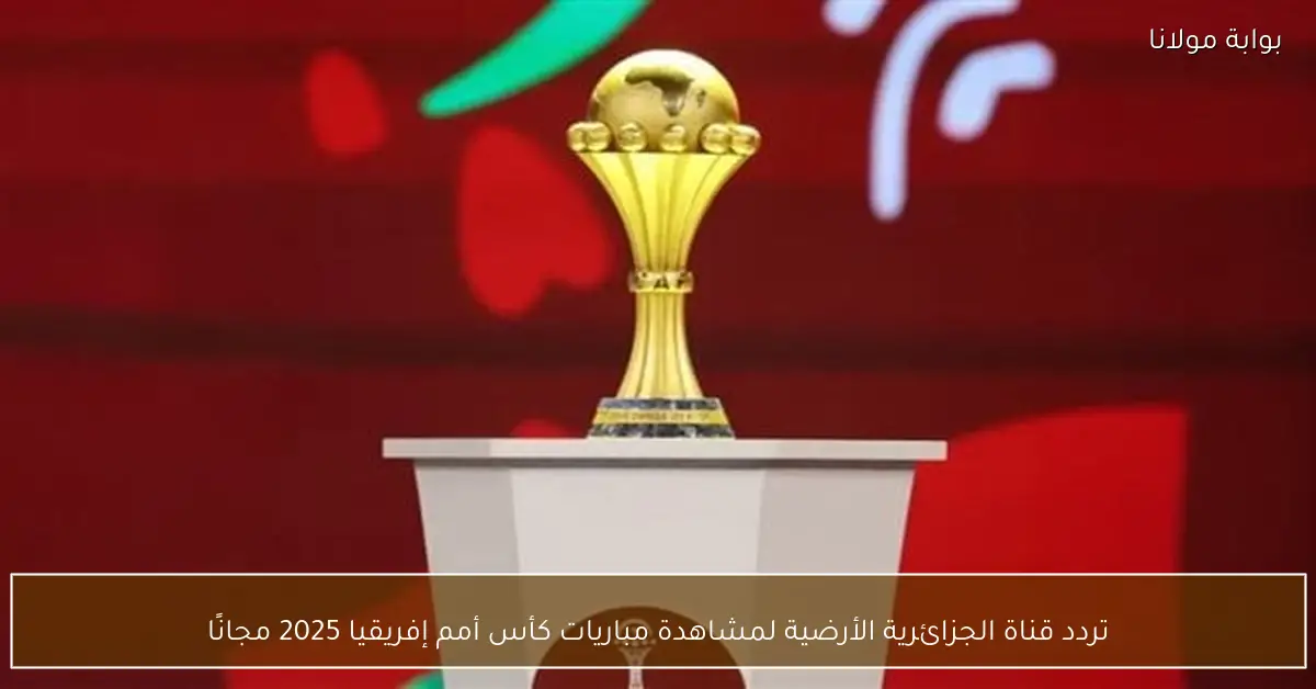 تردد قناة الجزائرية الأرضية لمشاهدة مباريات كأس أمم إفريقيا 2025 مجانًا