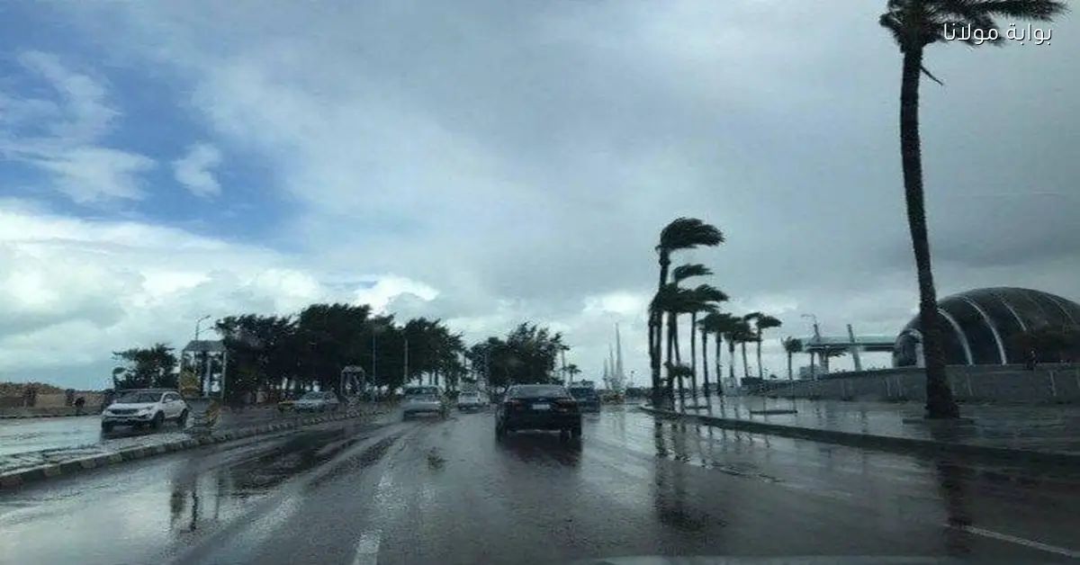 توقعات الطقس لليوم الخميس 11 ديسمبر 2025 وسط تقلبات جوية ملحوظة