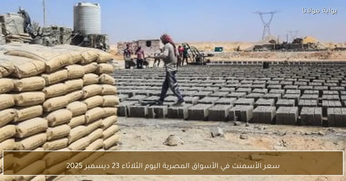 سعر الأسمنت في الأسواق المصرية اليوم الثلاثاء 23 ديسمبر 2025