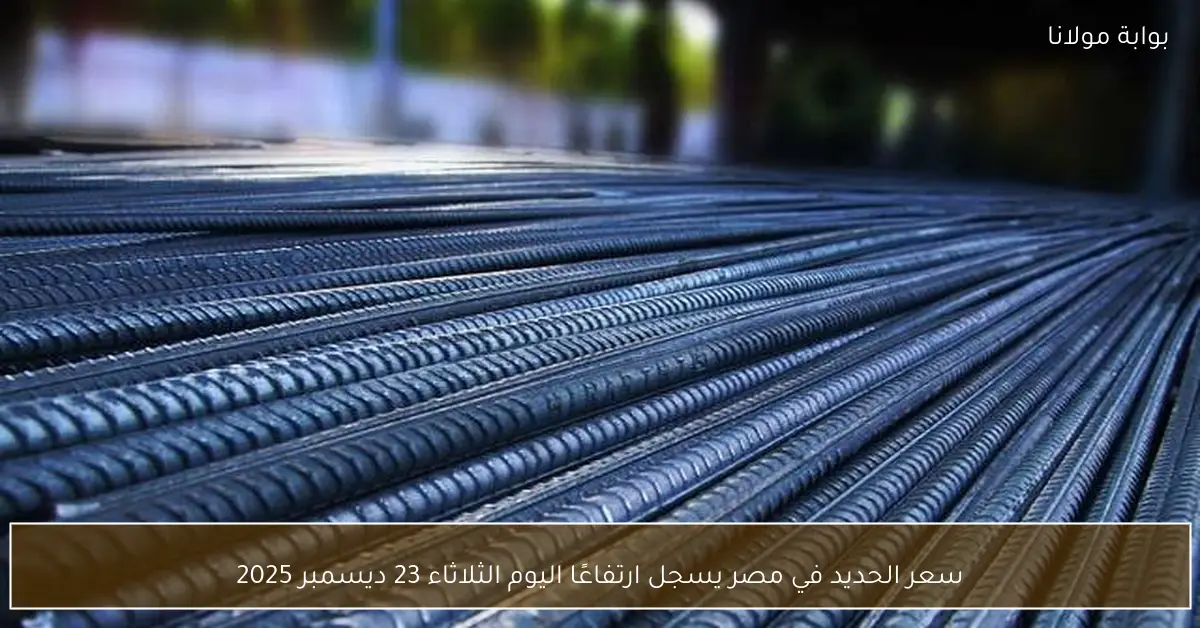 سعر الحديد في مصر يسجل ارتفاعًا اليوم الثلاثاء 23 ديسمبر 2025
