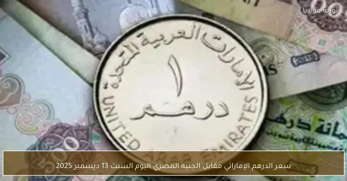 سعر الدرهم الإماراتي مقابل الجنيه المصري اليوم السبت 13 ديسمبر 2025