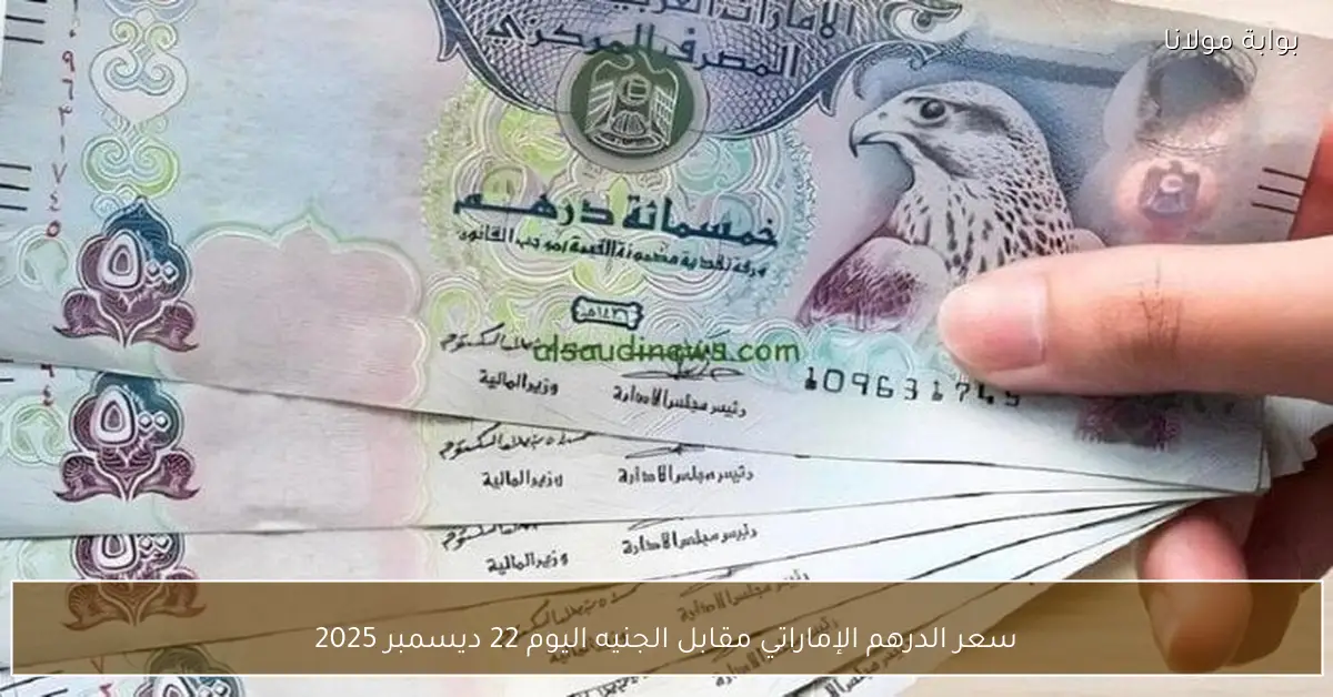 سعر الدرهم الإماراتي مقابل الجنيه اليوم 22 ديسمبر 2025