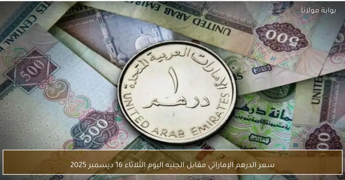 سعر الدرهم الإماراتي مقابل الجنيه اليوم الثلاثاء 16 ديسمبر 2025