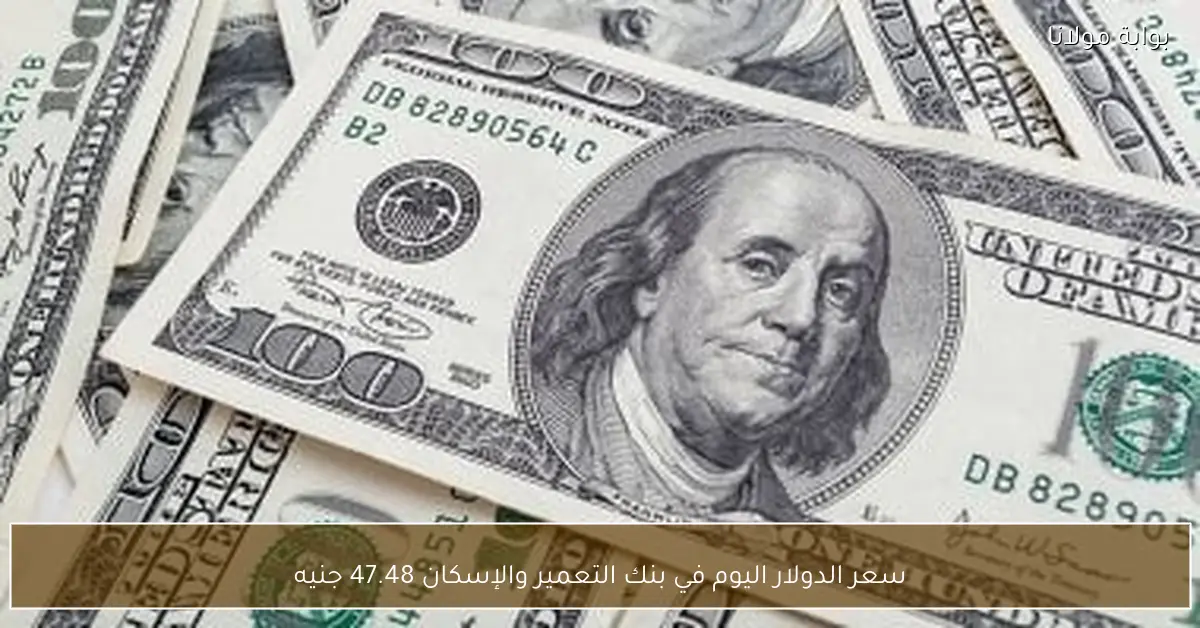 سعر الدولار اليوم في بنك التعمير والإسكان 47.48 جنيه