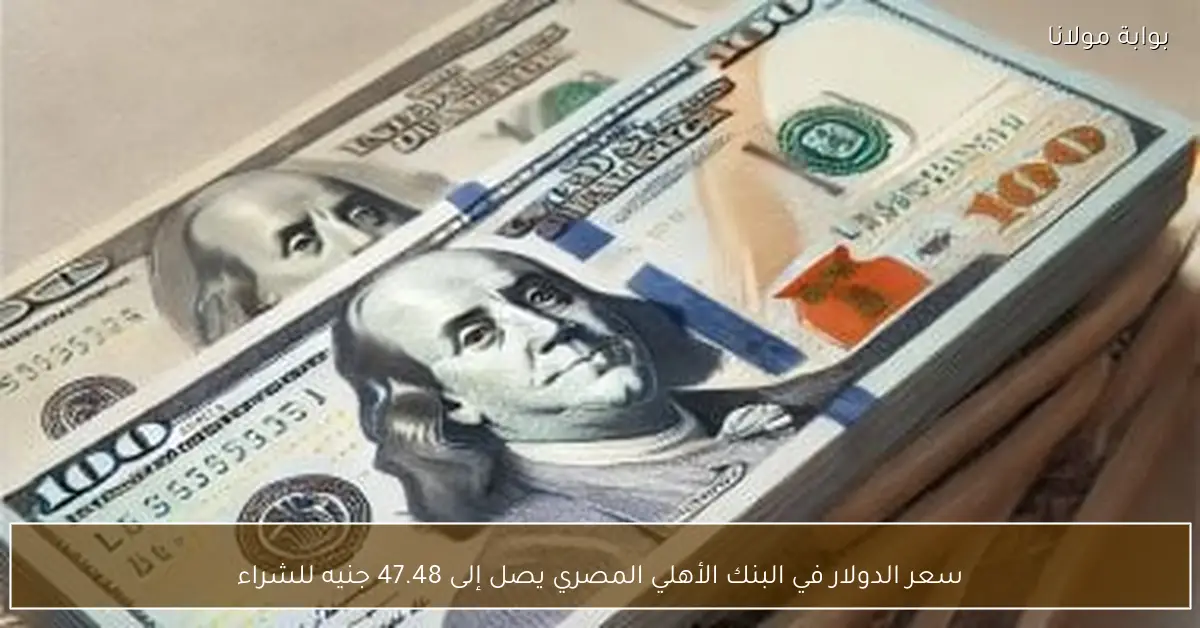 سعر الدولار في البنك الأهلي المصري يصل إلى 47.48 جنيه للشراء
