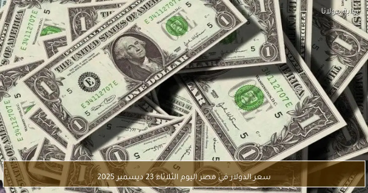 سعر الدولار في مصر اليوم الثلاثاء 23 ديسمبر 2025