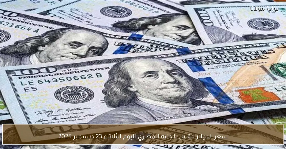 سعر الدولار مقابل الجنيه المصري اليوم الثلاثاء 23 ديسمبر 2025