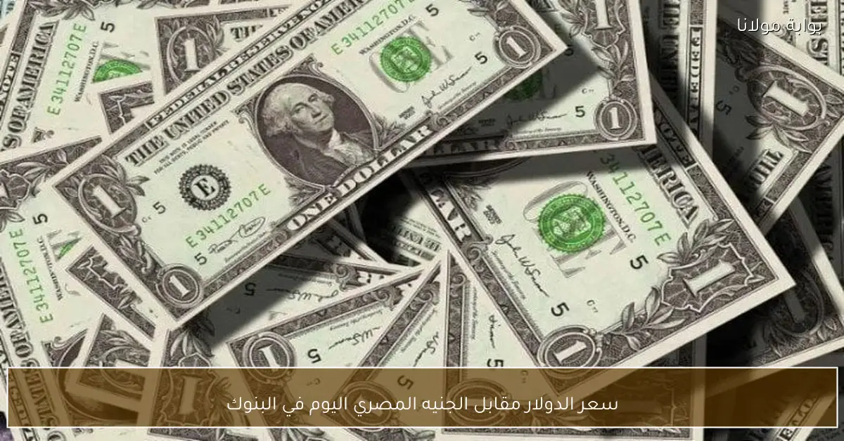 سعر الدولار مقابل الجنيه المصري اليوم في البنوك