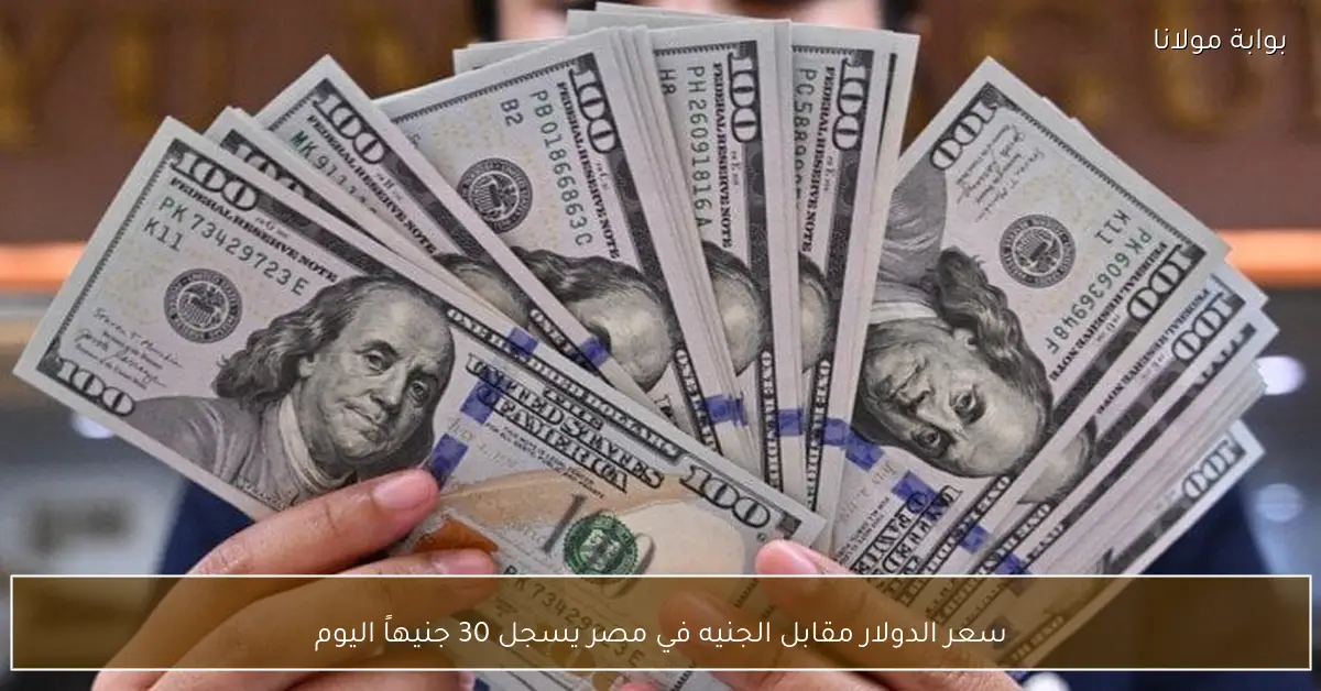 سعر الدولار مقابل الجنيه في مصر يسجل 30 جنيهاً اليوم