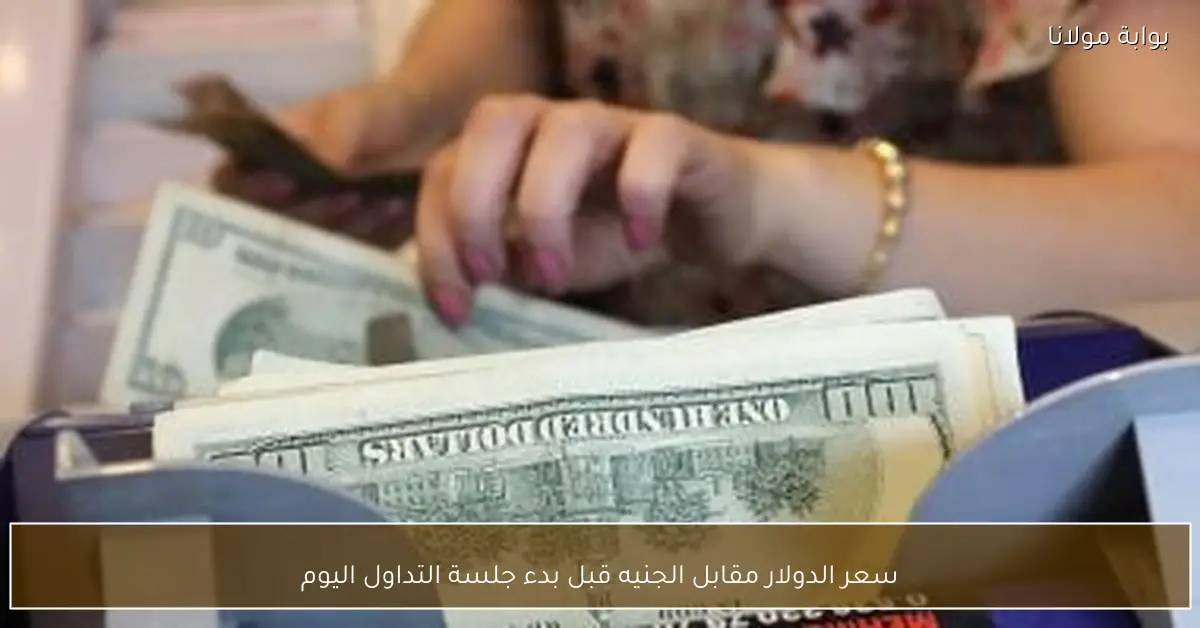 سعر الدولار مقابل الجنيه قبل بدء جلسة التداول اليوم