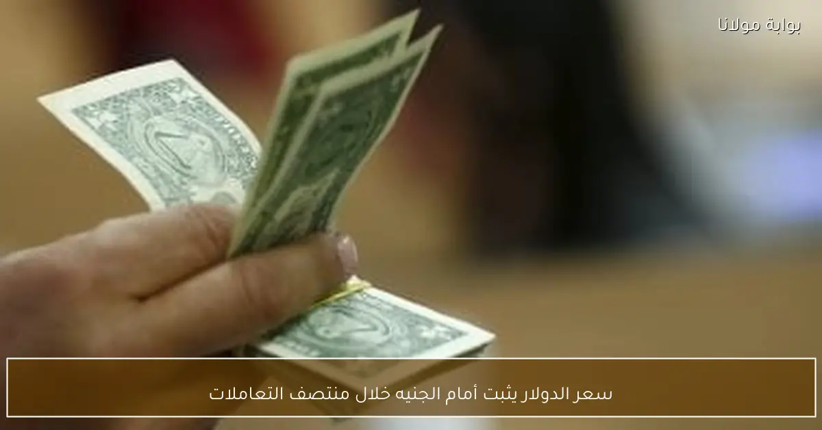 سعر الدولار يثبت أمام الجنيه خلال منتصف التعاملات