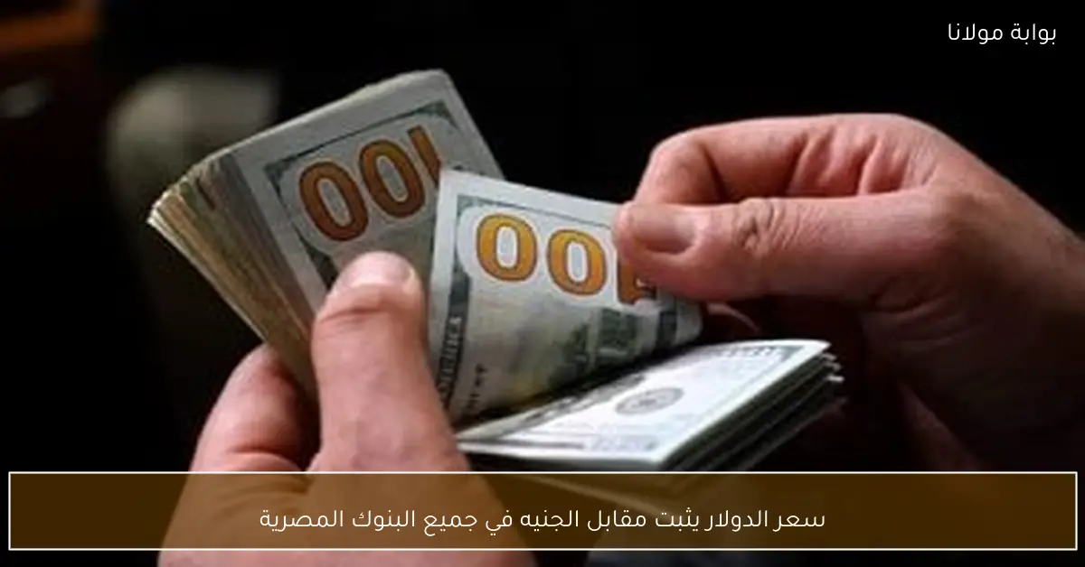 سعر الدولار يثبت مقابل الجنيه في جميع البنوك المصرية
