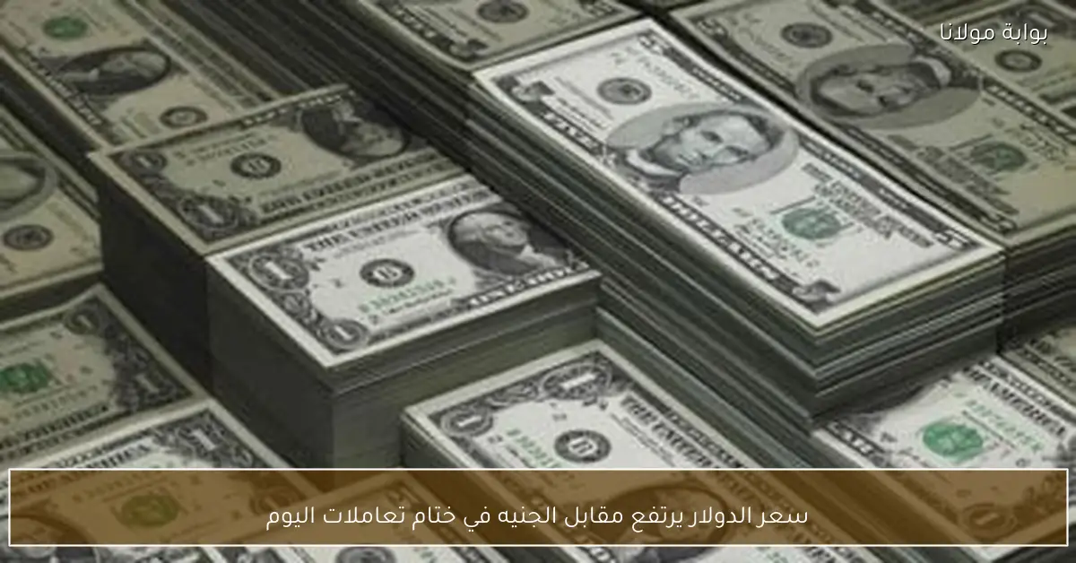 سعر الدولار يرتفع مقابل الجنيه في ختام تعاملات اليوم