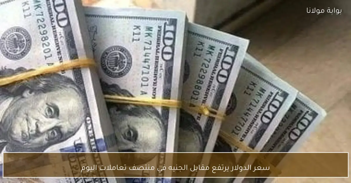 سعر الدولار يرتفع مقابل الجنيه في منتصف تعاملات اليوم