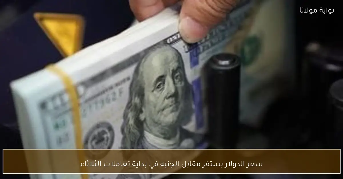 سعر الدولار يستقر مقابل الجنيه في بداية تعاملات الثلاثاء