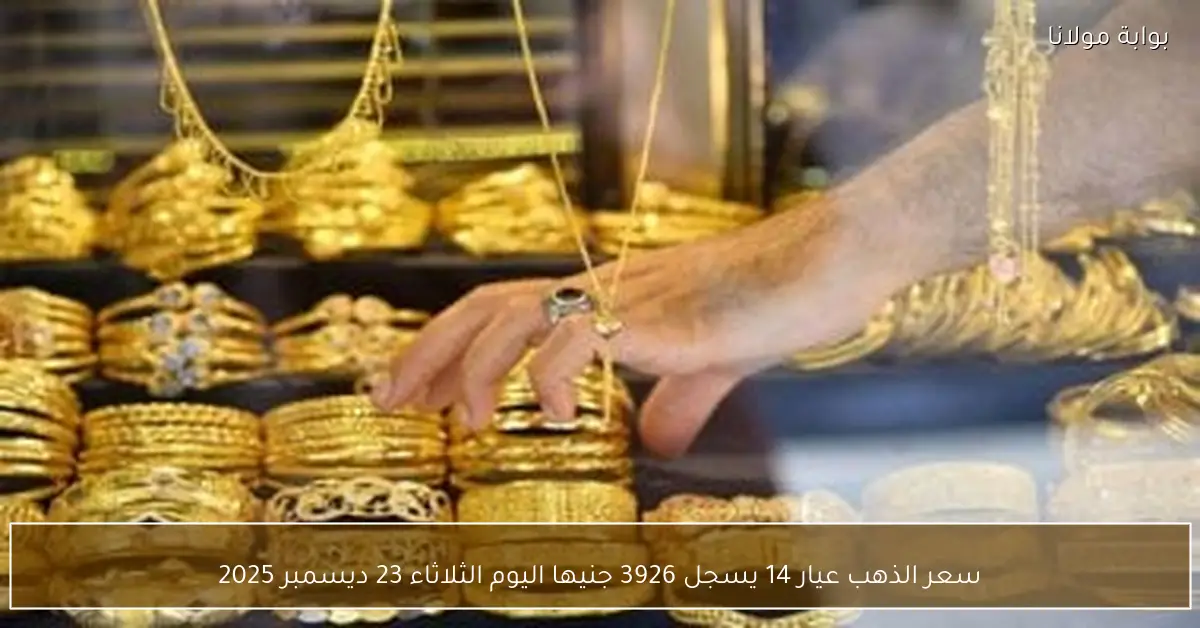 سعر الذهب عيار 14 يسجل 3926 جنيها اليوم الثلاثاء 23 ديسمبر 2025