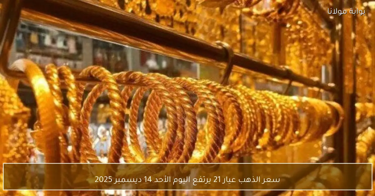 سعر الذهب عيار 21 يرتفع اليوم الأحد 14 ديسمبر 2025