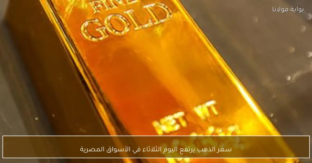 سعر الذهب يرتفع اليوم الثلاثاء في الأسواق المصرية