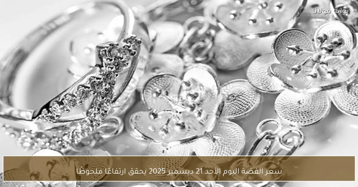 سعر الفضة اليوم الأحد 21 ديسمبر 2025 يحقق ارتفاعًا ملحوظًا