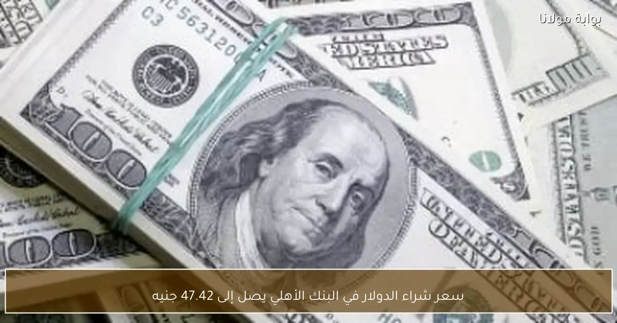 سعر شراء الدولار في البنك الأهلي يصل إلى 47.42 جنيه