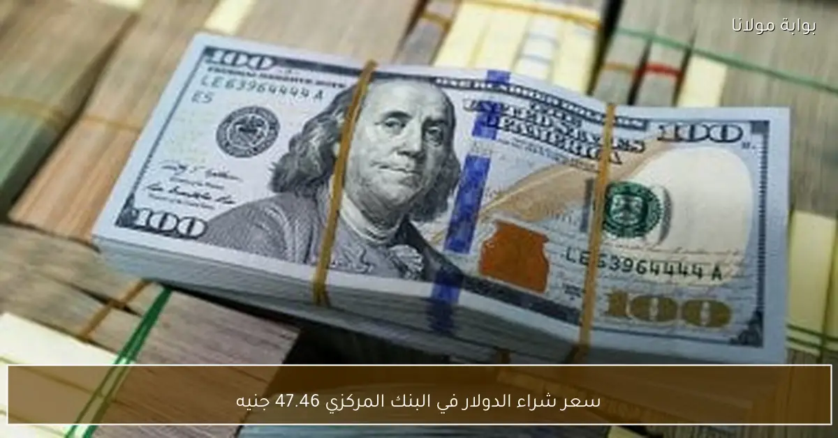 سعر شراء الدولار في البنك المركزي 47.46 جنيه