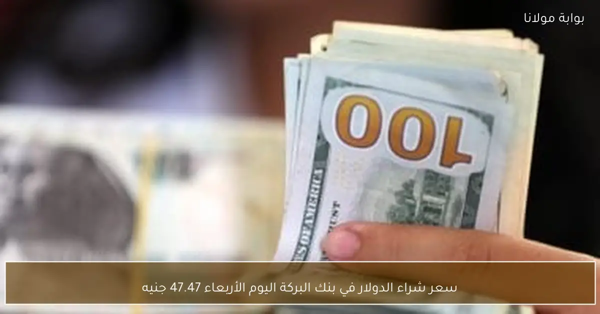 سعر شراء الدولار في بنك البركة اليوم الأربعاء 47.47 جنيه