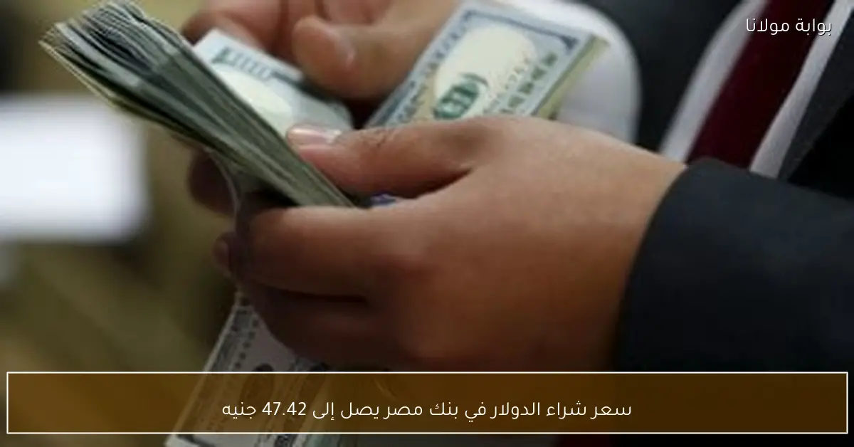 سعر شراء الدولار في بنك مصر يصل إلى 47.42 جنيه