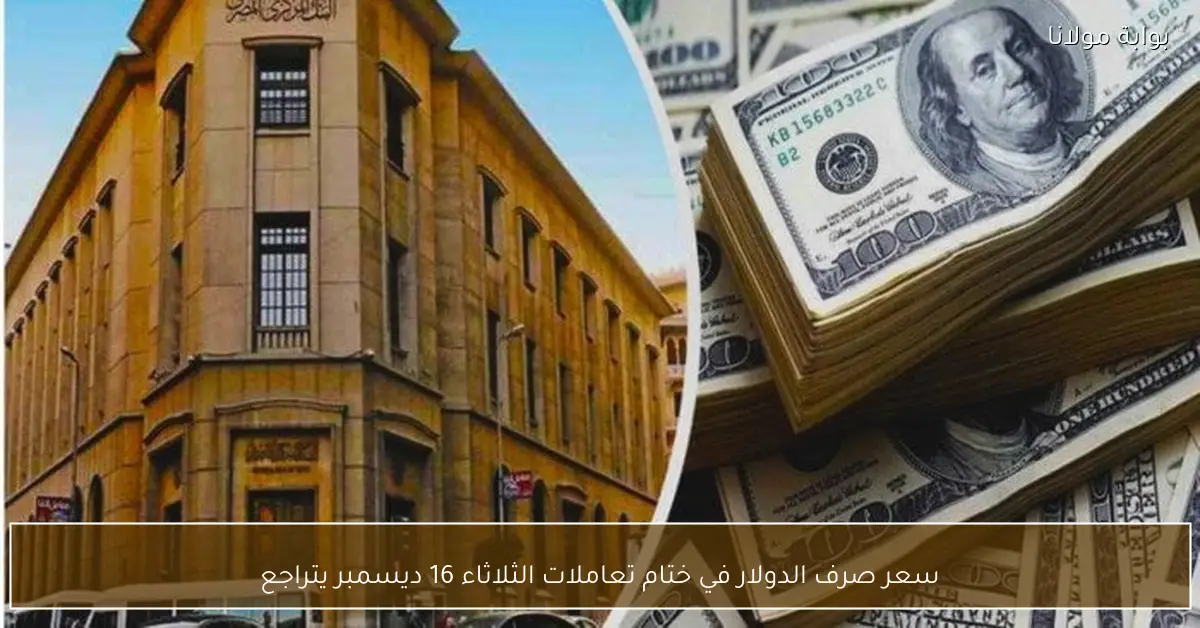 سعر صرف الدولار في ختام تعاملات الثلاثاء 16 ديسمبر يتراجع