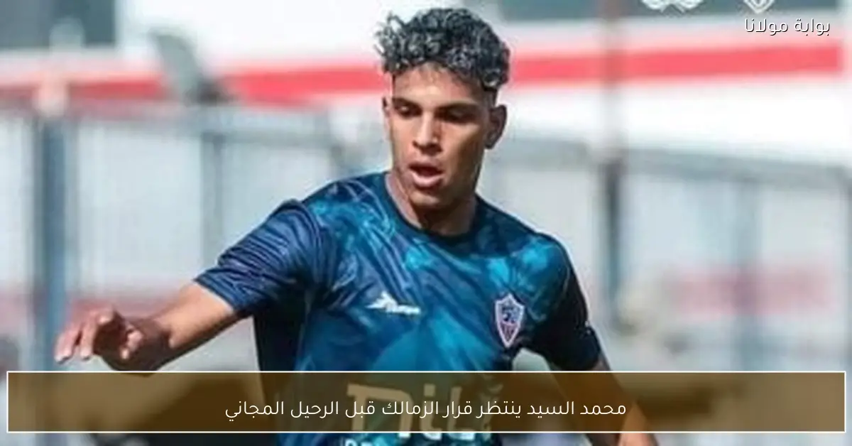 محمد السيد ينتظر قرار الزمالك قبل الرحيل المجاني