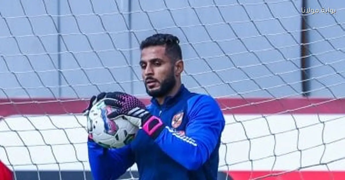 محمود الزنفلي يشيد بتعامل الشناوي خلال فترة وجوده في الأهلي