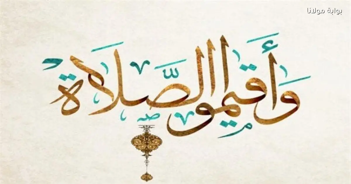 مواقيت الصلاة ليوم الخميس 11 ديسمبر 2025 بما في ذلك موعد صلاة الظهر