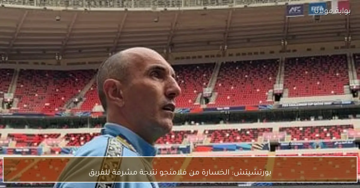 يورتشيتش: الخسارة من فلامنجو نتيجة مشرفة للفريق