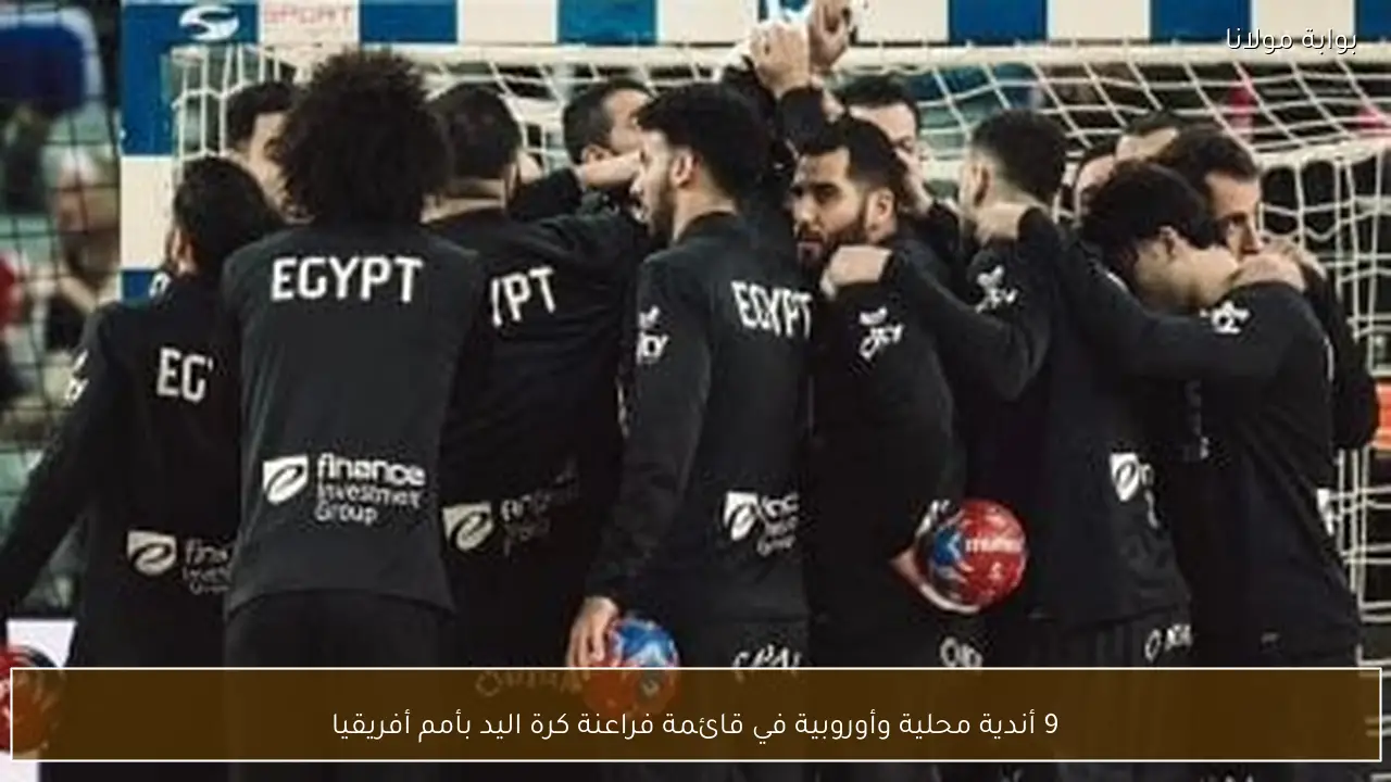 9 أندية محلية وأوروبية في قائمة فراعنة كرة اليد بأمم أفريقيا