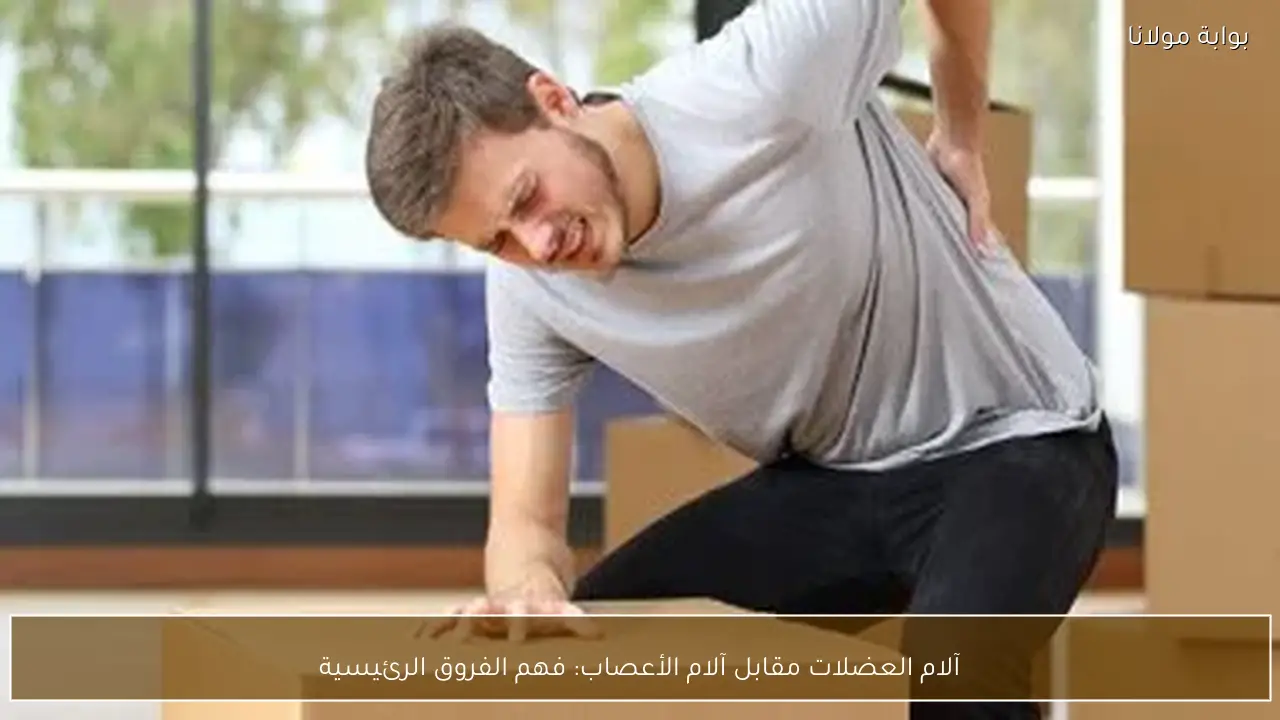 آلام العضلات مقابل آلام الأعصاب: فهم الفروق الرئيسية